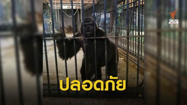 ไฟไหม้ "สวนสัตว์พาต้า" เหตุไฟฟ้าลัดวงจร สัตว์ทุกตัวไร้เจ็บ