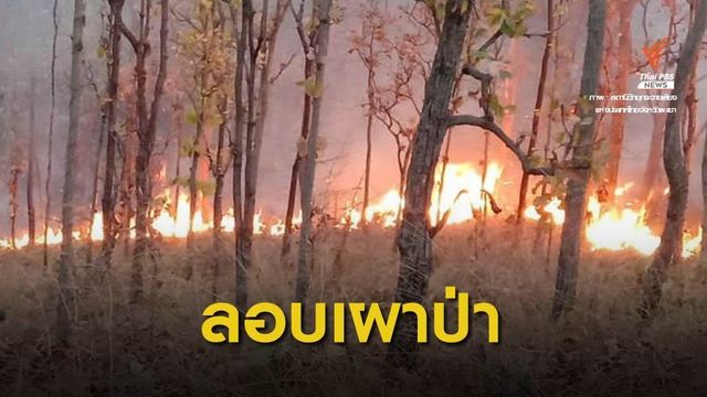 ลักลอบเผาป่า "เชียงใหม่ - พะเยา" หวังล่าสัตว์ ทำฝุ่นพิษพุ่ง