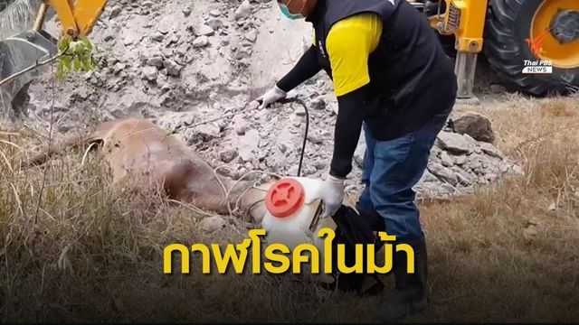 "เพชรบุรี" ม้าตายเพิ่ม สั่งคุมเข้มทั้งจังหวัด