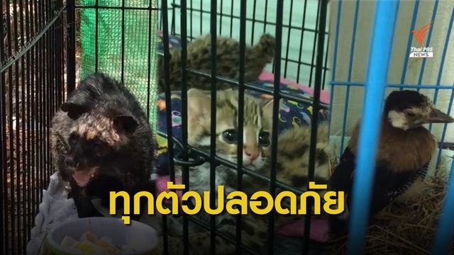 ช่วยสัตว์ป่า 8 ชนิด 20 ตัว ไฟป่าเชียงใหม่ ทุกตัวปลอดภัย