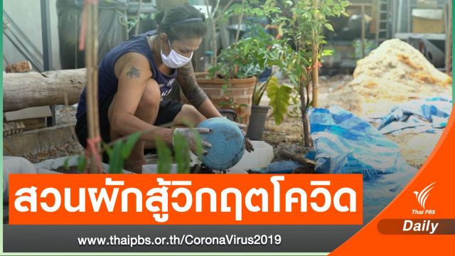 สวนผักคนเมือง ชม. พื้นที่ผลิตอาหารสู้โควิด-19