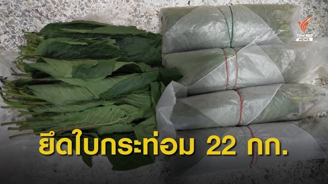 ป.ป.ส.จับผู้ต้องหามั่วสุมต้มน้ำกระท่อม-ลอบส่งทางไปรษณีย์