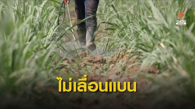เคาะแล้ว คกก.วัตถุอันตรายไม่เลื่อนแบน 2 สารเคมี 1 มิ.ย.นี้