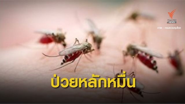"ไข้เลือดออก" ระบาด 5 เดือนตาย 9 ป่วยทะลุ 1 หมื่นคน