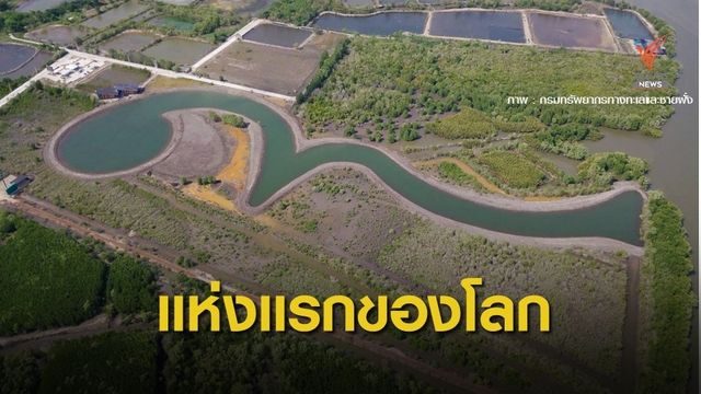 ทส.เร่งฟื้นป่าชายเลนถูกบุกรุก 1.33 ล้านไร่  