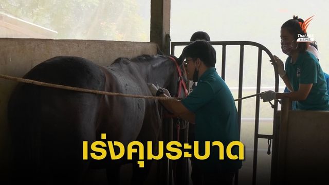 ปศุสัตว์ จ.สระบุรี เร่งคุมกาฬโรคในม้า หลังพบตายเพิ่ม 28 ตัว