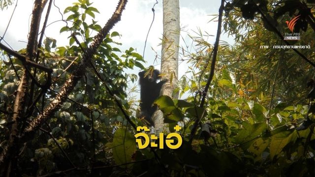 ทส.เร่งทำแผนปิดอุทยานแห่งชาติปีละ 2 เดือน