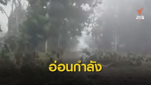 ไซโคลน “อำพัน” อ่อนกำลังเป็นพายุโซนร้อนแล้ว 