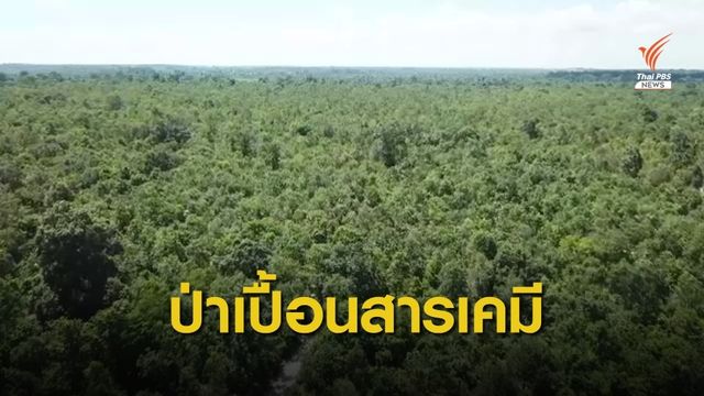 THE EXIT  : ป่าเปื้อนสาร (ตอน 1)