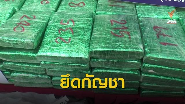 จับขบวนการค้ากัญชาข้ามชาติยึดของกลาง 300 แท่ง