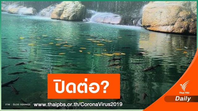 ห่วงคนแห่เที่ยว! "อุทยาน" ยังไม่เคาะคลายล็อกปิด-เปิดท่องเที่ยว