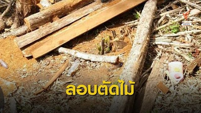 สั่งขยายผลเอาผิดกลุ่มลักลอบตัดไม้ อช.น้ำตกพาเจริญ