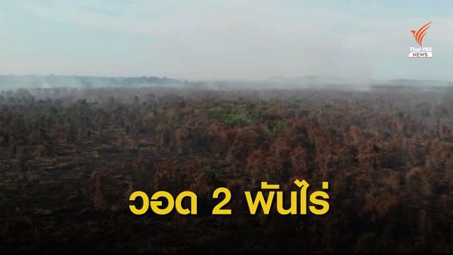ไฟไหม้ "พรุบาเจาะ" เสียหายกว่า 2,000 ไร่