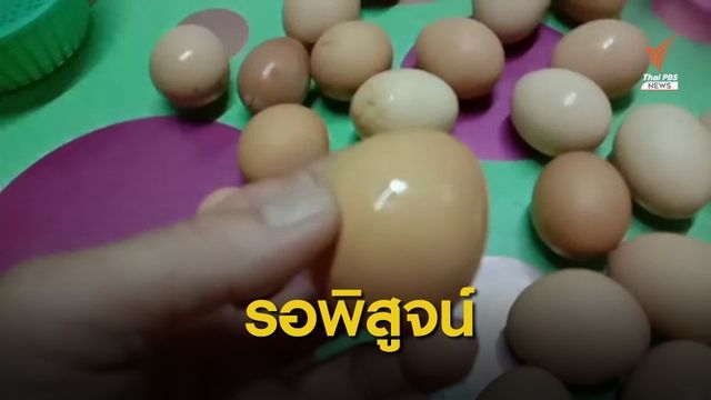 หาคำตอบ! "ไข่ปลอม" ระบาดโคราช