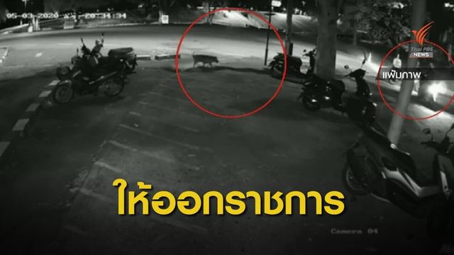 ตชด.ให้ "ส.ต.ท." ออกราชการ ปม “เตี้ย มช.” ตาย 