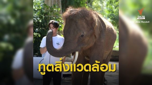 UNEP ตั้ง "อเล็กซ์ แรนเดล" ทูตสันถวไมตรีคนแรกของไทย
