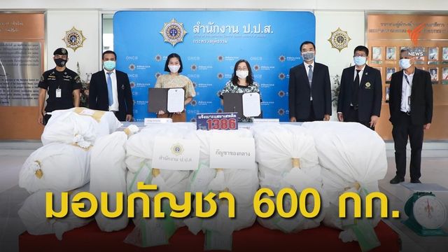 ป.ป.ส.มอบกัญชา 600 กิโลกรัม ให้หน่วยงานศึกษาวิจัย 