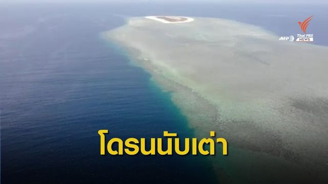 นักวิจัยออสเตรเลียใช้โดรนช่วยนับจำนวนเต่า