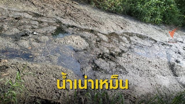 ทนกลิ่นเหม็นน้ำเน่ามานานร่วมปี  ยังหาสาเหตุไม่ได้ 