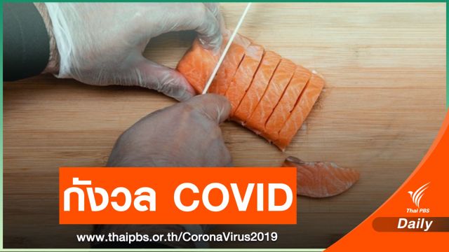 COVID-19 พ่นพิษแซลมอน หวั่นระบาดระลอกใหม่ 