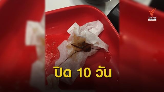 ปิด "สุกี้ตี๋น้อย" สอบปมขัดแย้งในร้าน-แมลงสาบโผล่