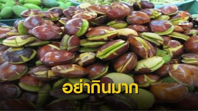 เตือน! กิน "ลูกเนียงดิบ" ปริมาณมาก เสี่ยงไตวายเฉียบพลัน