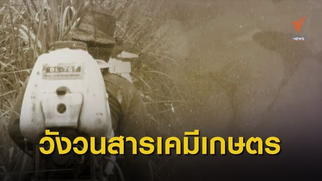 The Exit :  เกษตรกรปรับตัวหลังแบนสารเคมีเกษตร