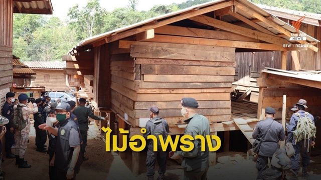 สั่งฟันจนท.เอี่ยวลอบขายไม้ของกลาง-ตัดไม้อำพรางปลูกบ้าน