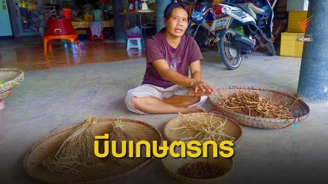 ชี้รัฐบาลฉวยโอกาส COVID-19 อ้างฟื้น ศก.ร่วม CPTPP
