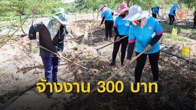 กระทรวงแรงงาน จ้างงานชาวเชียงใหม่ที่ตกงาน 