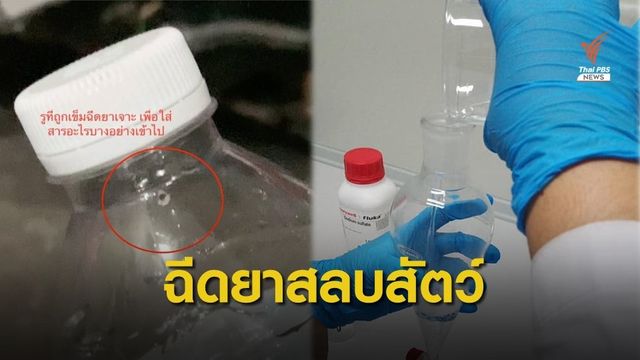 รอง ผบช.ภ.1 สั่งขยายผลคดีฉีดสาร "ไซลาซีน" ในขวดน้ำนักวิ่ง