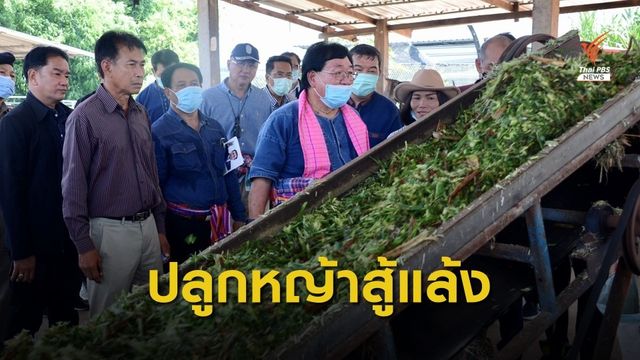 "ประภัตร" แนะเกษตรกรปลูกหญ้าอาหารสัตว์ สร้างรายได้เสริมสู้แล้ง