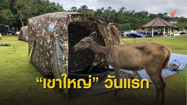 เปิดโลก “เขาใหญ่” ในวันไร้นักท่องเที่ยว