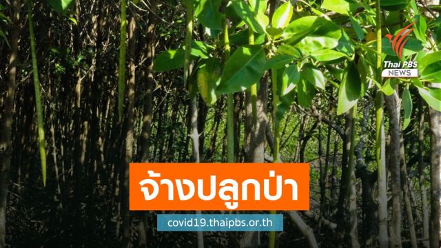 จ้าง 1.64 หมื่นคนบรรเทาตกงาน COVID-19 ลั่นไร้แรงงานผี 