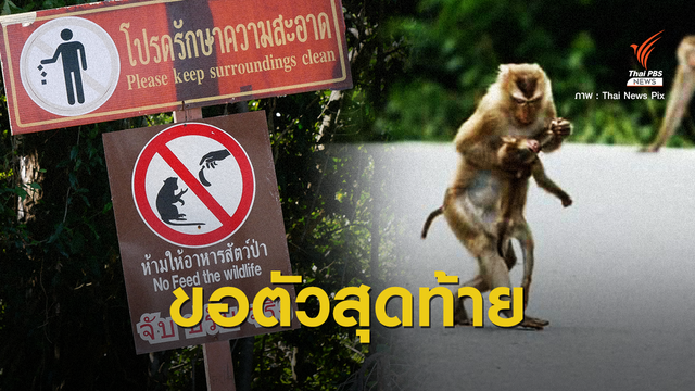 ขอเหยื่อตัวสุดท้าย สังเวย "ชีวิตสัตว์ป่า" ถูกรถชนตาย