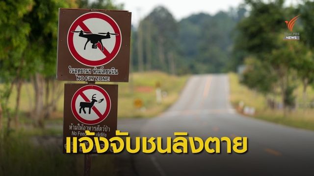 “วราวุธ” สั่งเอาผิดชนลิงเขาใหญ่ ขู่ปิดถนนเขาใหญ่-เนินหอม