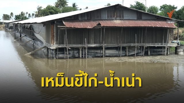 ชาวเมืองลพบุรีร้อง เหม็นขี้ไก่-น้ำเน่าเสียมานานหลายปีแล้ว 