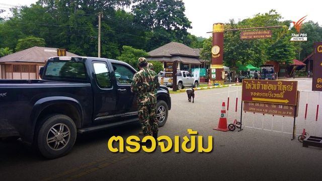 เข้มงวดท่องเที่ยวอุทยานฯเขาใหญ่ ป้องกันซ้ำรอยรถชนสัตว์ป่าตาย