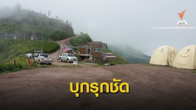 "กรมป่าไม้" สั่งรื้อเต็นท์รุกป่าภูทับเบิกบนผาหัวสิงห์ 