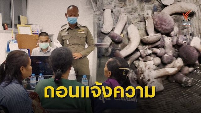 ถอนแจ้งความ ชาวบ้านลักลอบเก็บเห็ด สถานีเพาะชำกล้าไม้