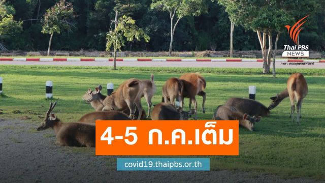 "เขาใหญ่" เต็มแล้วคนแห่จองล่วงหน้าเที่ยววันหยุดยาว 4-5 ก.ค.นี้