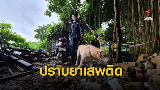 ระดมกวาดล้างยาเสพติดเมืองปากน้ำ