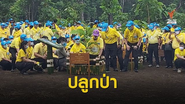 นายกฯ ปลูกป่าแก้ปัญหาไฟป่า-ฝุ่นควันเชียงใหม่