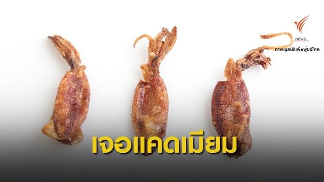 ผลตรวจ "หมึกแห้ง" พบปนเปื้อนแคดเมียมเกินเกณฑ์ 7 ตัวอย่าง