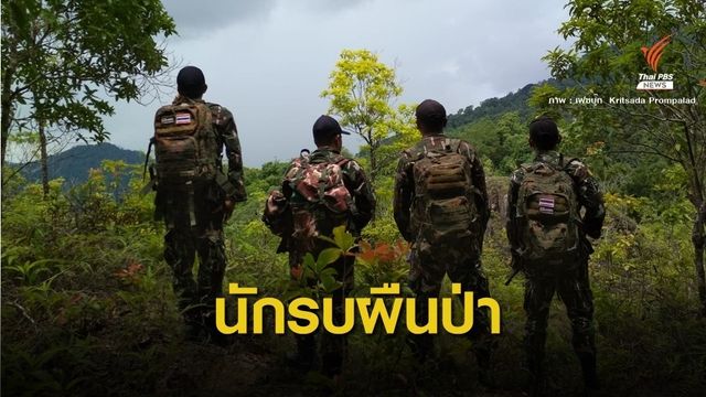 สูญเสีย 6 คน "พิทักษ์ป่า" ชีวิตบนความเสี่ยง