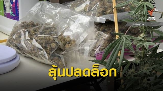  4 ส.ค.นี้ ชงครม.ปลดล็อกปลูกกัญชารักษาโรค-ขายได้