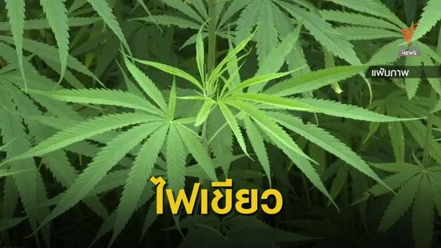 ครม.เห็นชอบร่าง พ.ร.บ.ยาเสพติดให้โทษ ฉบับใหม่