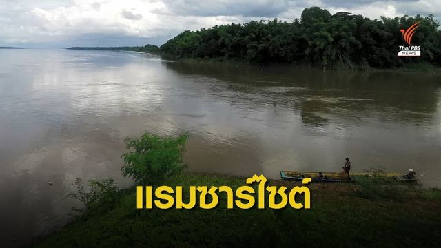 ฟื้นป่าบุ่งป่าทาม "แม่น้ำสงคราม"​ แหล่งอนุบาลปลาน้ำโขง