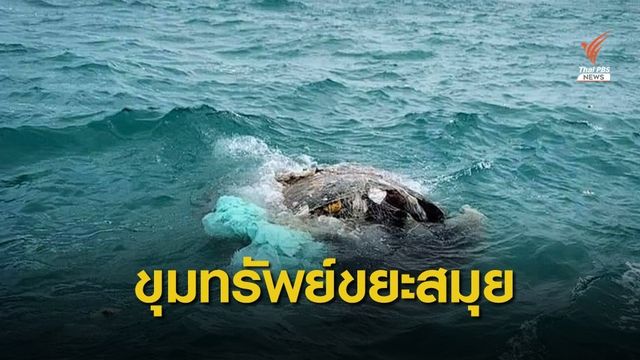 เปิดขุมทรัพย์ขยะเกาะสมุย 