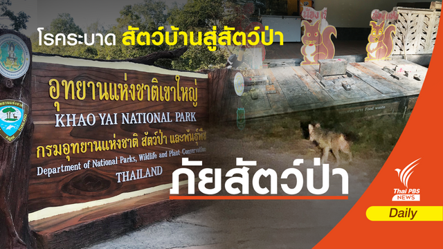  อันตราย! โรคระบาดสัตว์ "พาหมา-แมว" เที่ยวอุทยาน